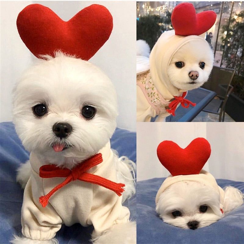 Cute Warm Fruit Clothes for Small Dogs