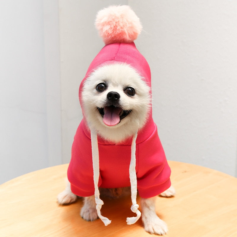 Cute Warm Fruit Clothes for Small Dogs