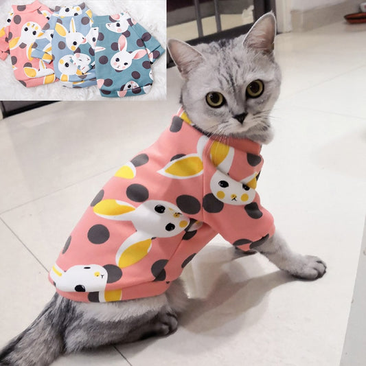 Warm Winter Clothes for Cats