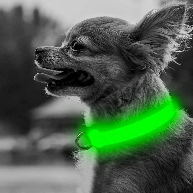 Stunning LED Glowing Dog Collar